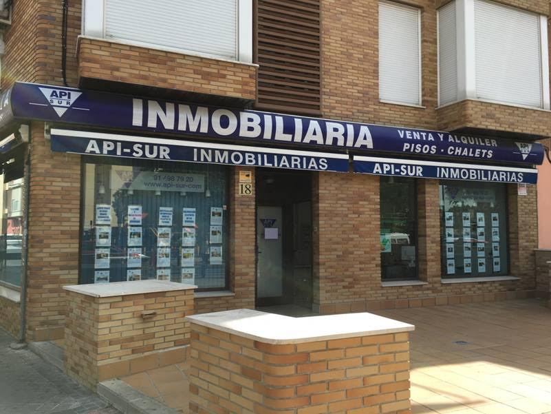 API-SUR Experiencia