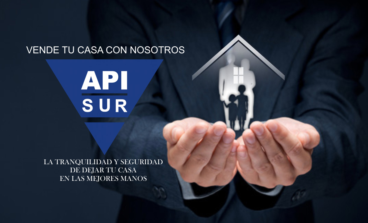 Api-Sur Inmobiliaria
